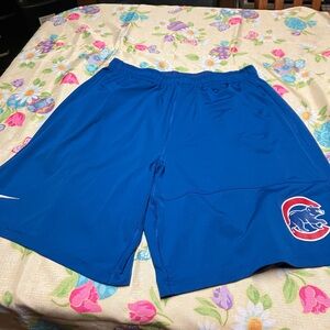 Gently used pair of men’s Chicago Cubs shorts.